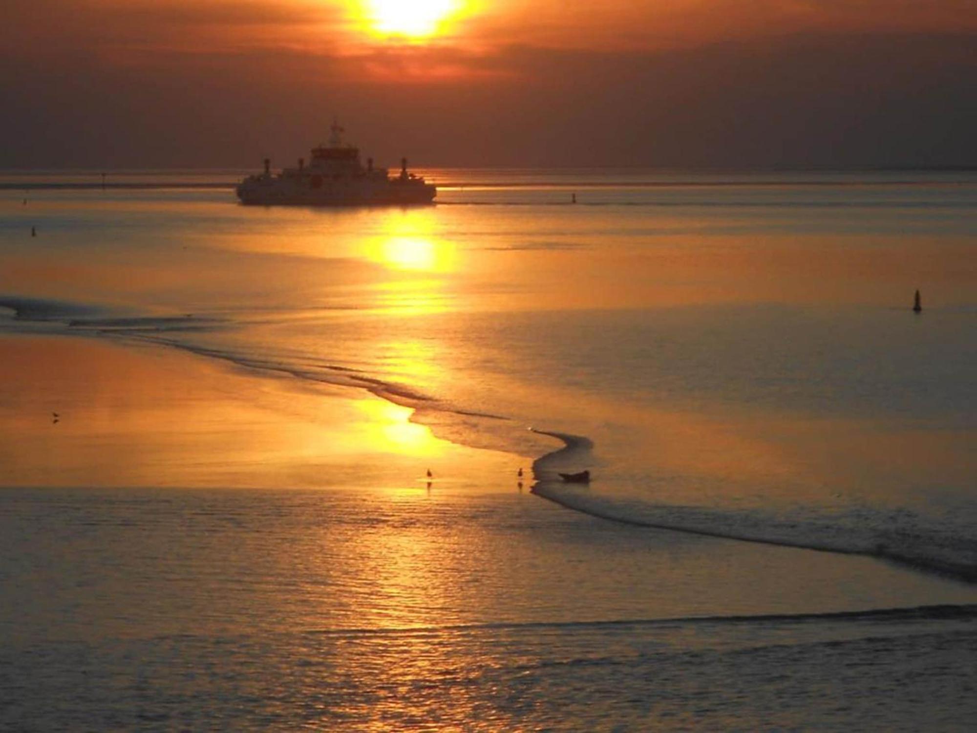 Fantastic Luxury Vacation Home And Next To The Wadden Sea Paesens Eksteriør billede