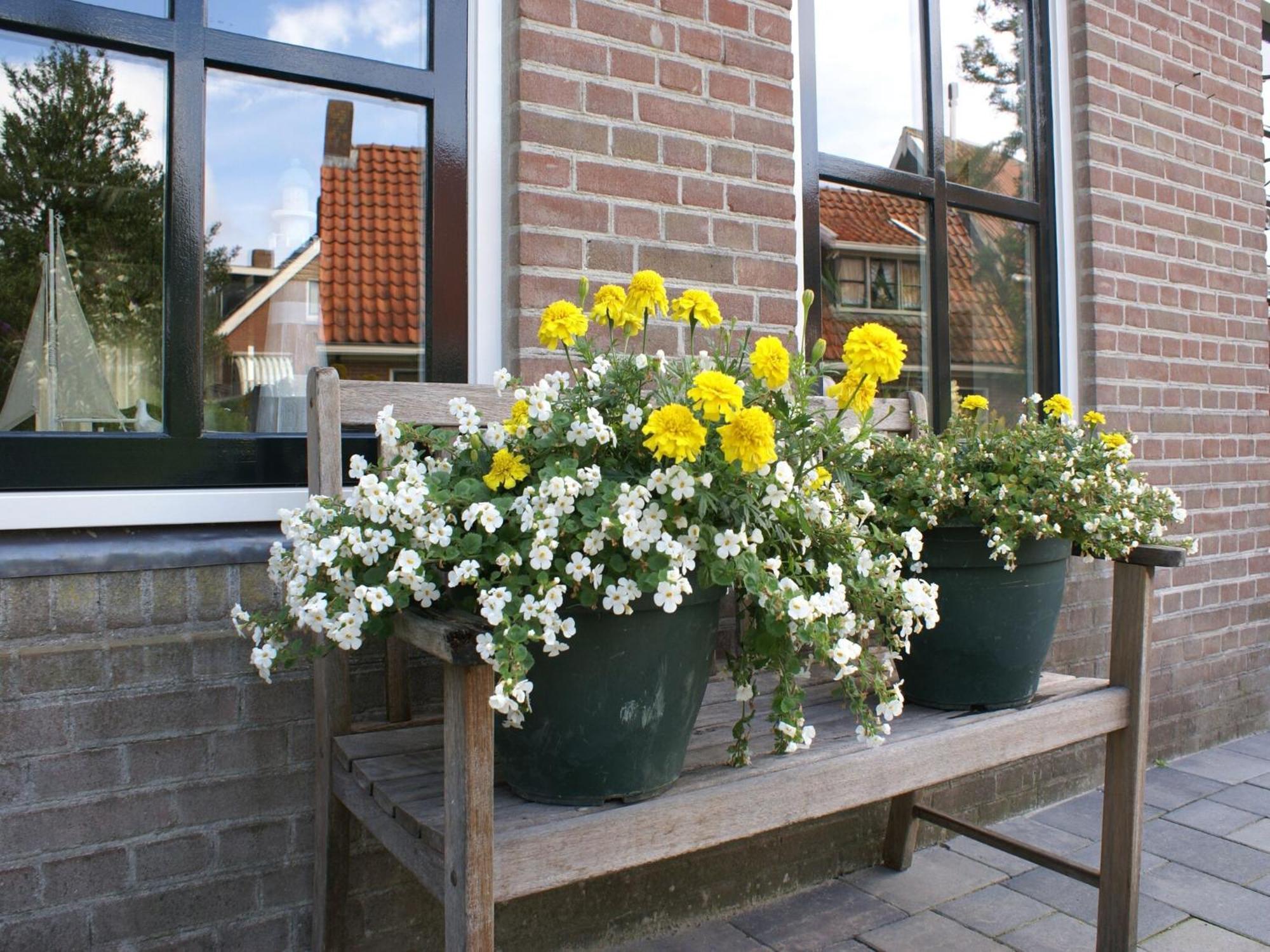 Fantastic Luxury Vacation Home And Next To The Wadden Sea Paesens Eksteriør billede