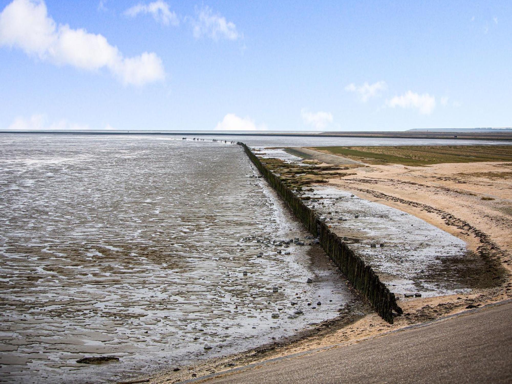 Fantastic Luxury Vacation Home And Next To The Wadden Sea Paesens Eksteriør billede