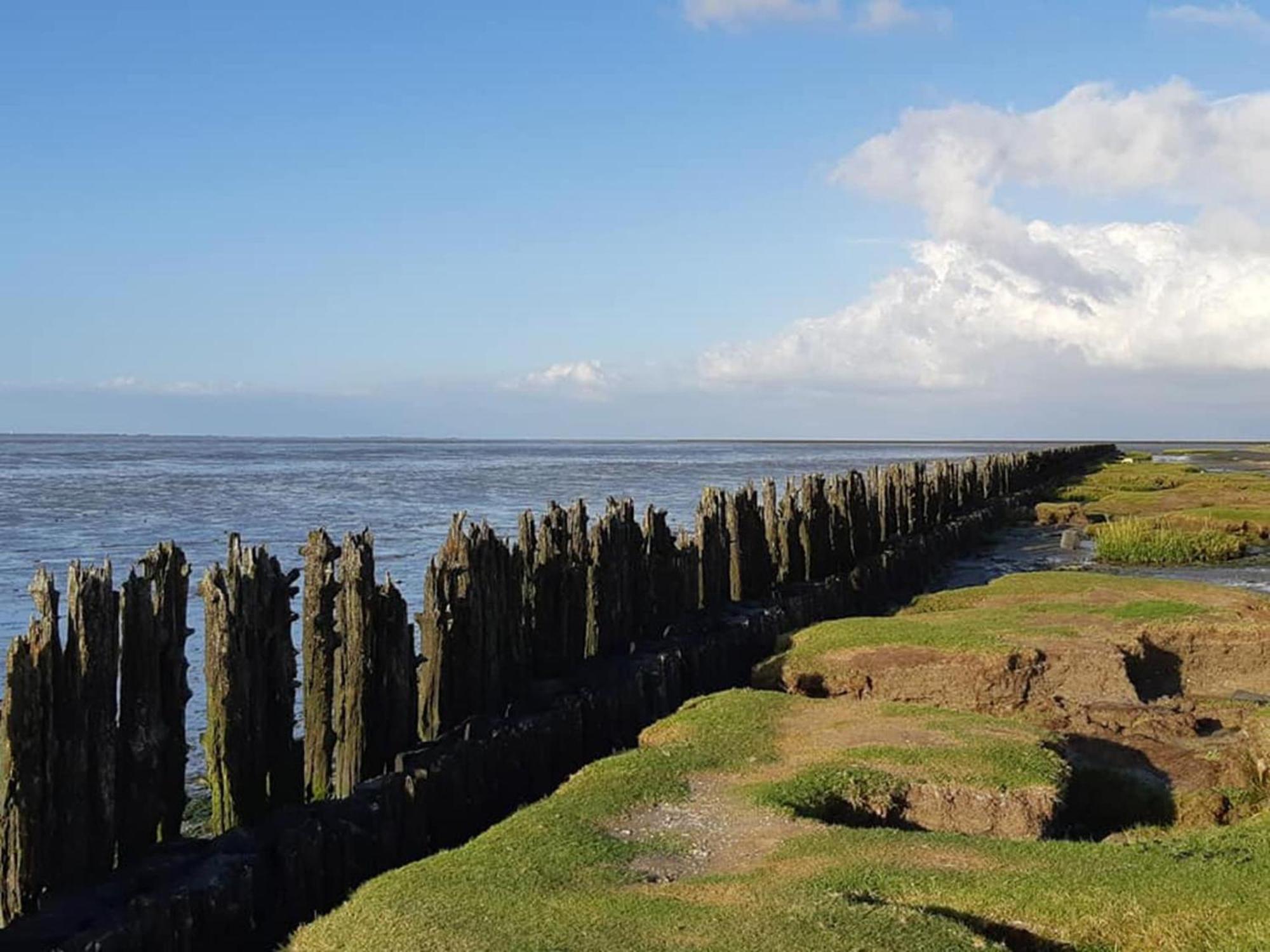 Fantastic Luxury Vacation Home And Next To The Wadden Sea Paesens Eksteriør billede